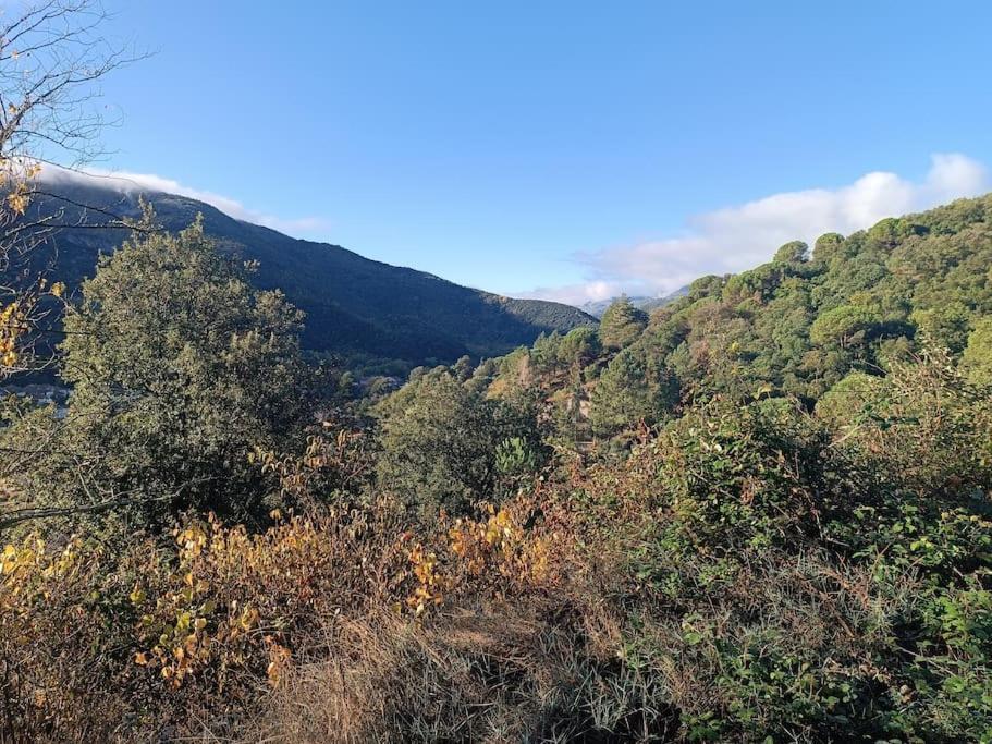F2 Classe 3 Etoiles Vue Montagne, Exterieur Clos Arles-sur-Tech Eksteriør bilde